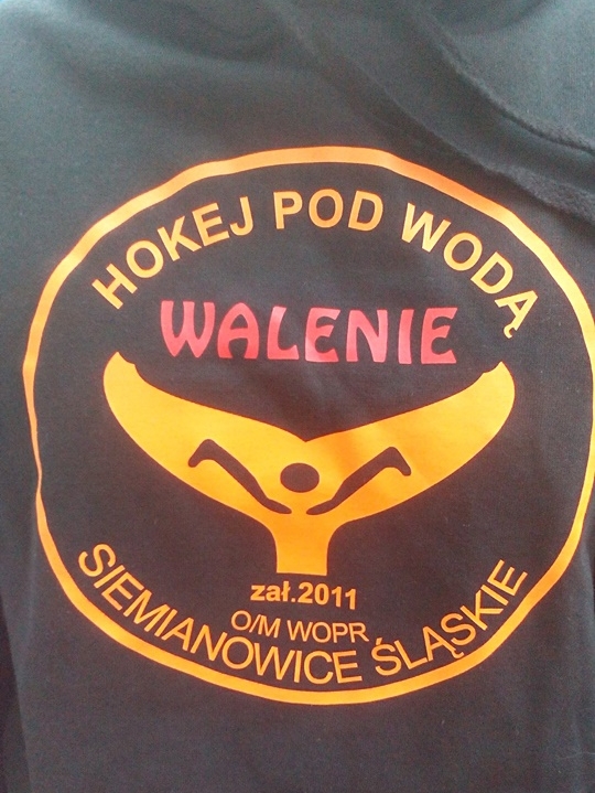 Hokej pod wodą Walenie Bełchatów  2016